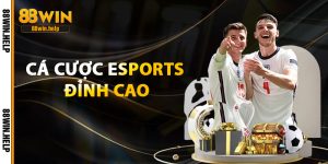 cá cược esports đỉnh cao