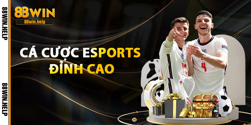 cá cược esports đỉnh cao