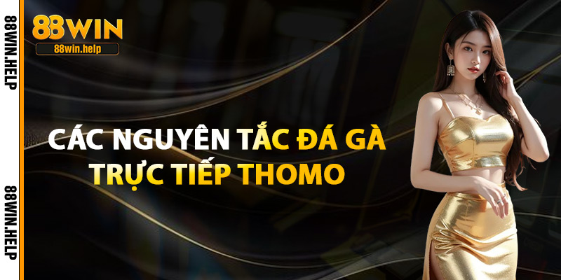 Các Nguyên Tắc Đá Gà Trực Tiếp Thomo