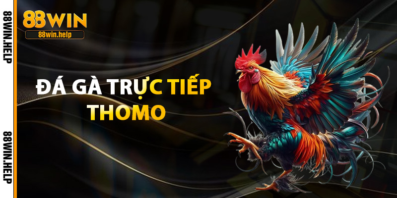 đá gà trực tiếp thomo