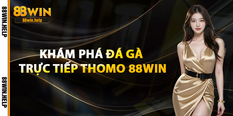 Khám Phá Đá Gà Trực Tiếp Thomo 88Win