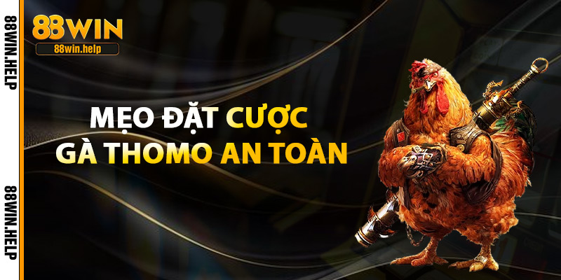 Mẹo Đặt Cược Gà Thomo An Toàn